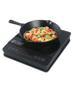 INDUCTION COOKER